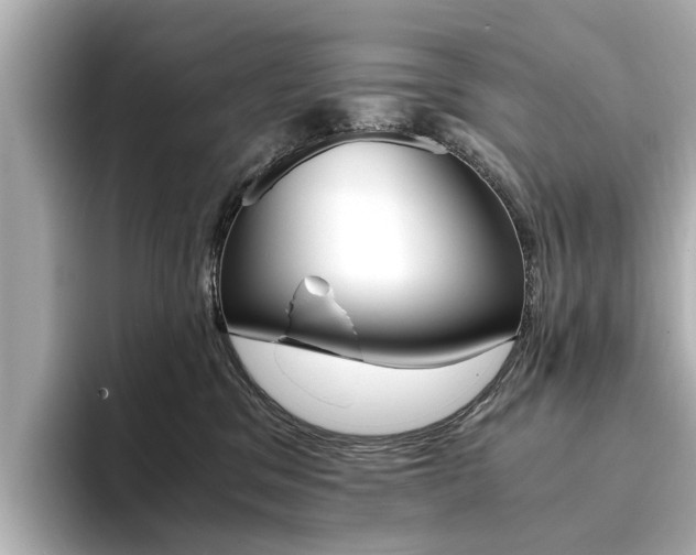 X0000094370329200711020758