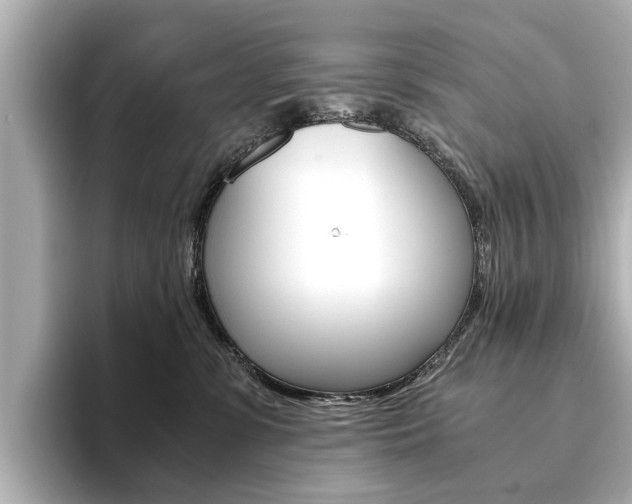 X0000094370331200711020758