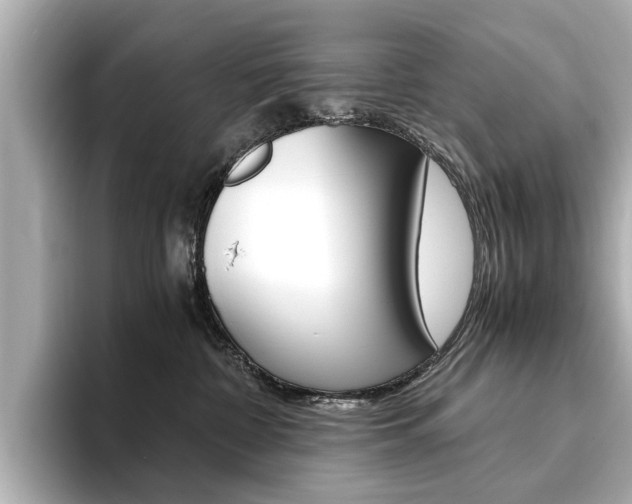 X0000094370332200711020758