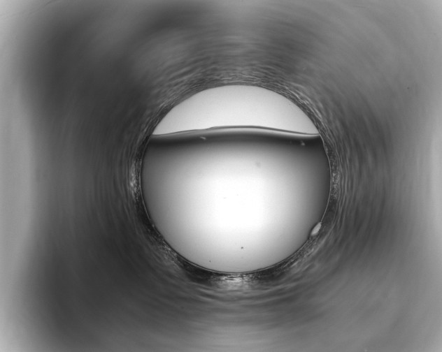 X0000094370335200711020758