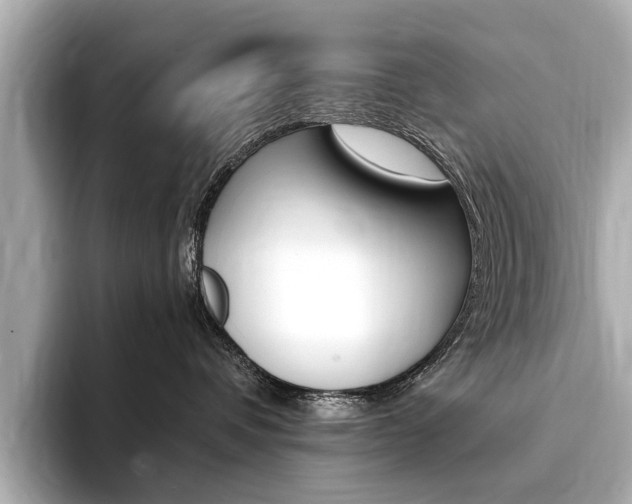 X0000094370336200711020758
