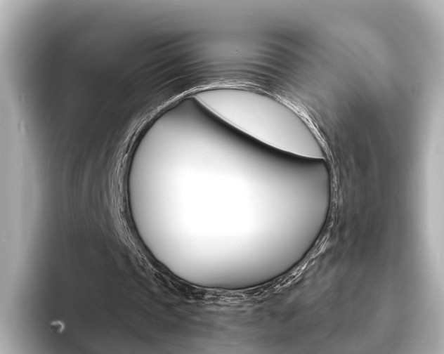 X0000094370337200711020758