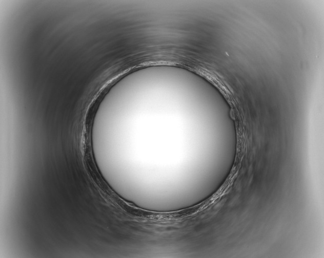X0000094370338200711020758