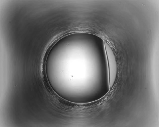 X0000094370340200711020758