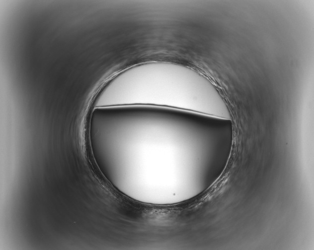 X0000094370341200711020758