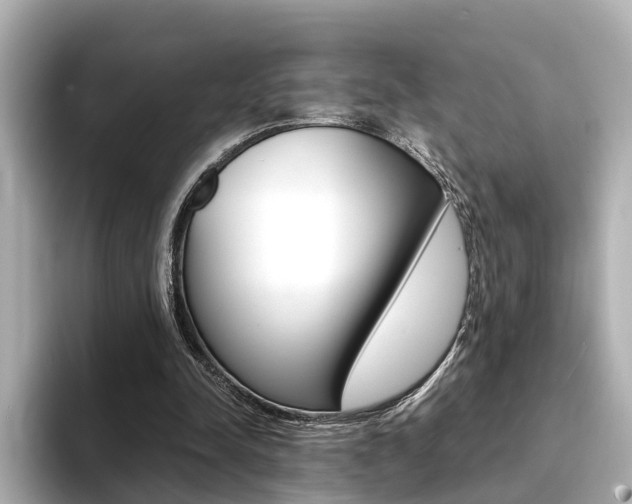 X0000094370342200711020758