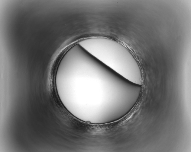 X0000094370343200711020758