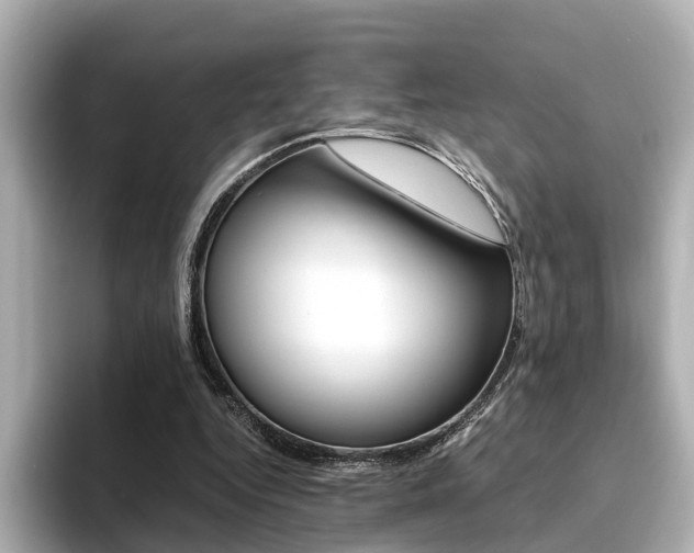 X0000094370344200711020758