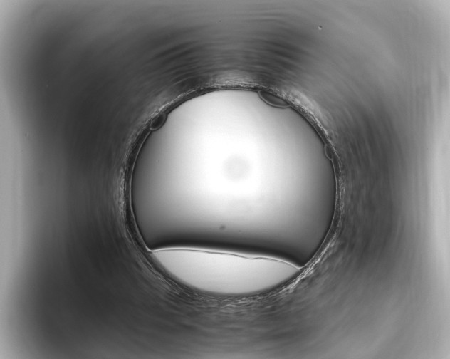 X0000094370345200711020758