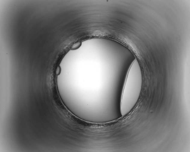 X0000094370354200711020758