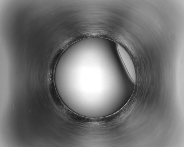 X0000094370356200711020758