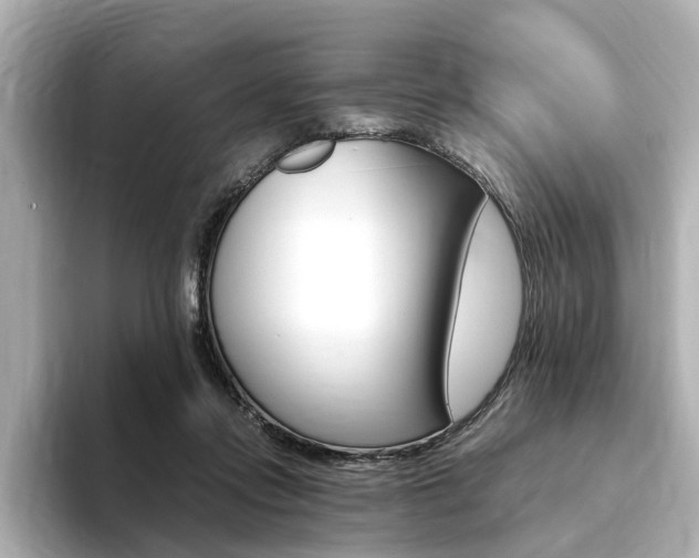 X0000094370358200711020758