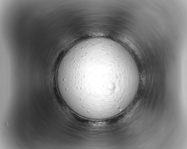 X0000094370359200711020758