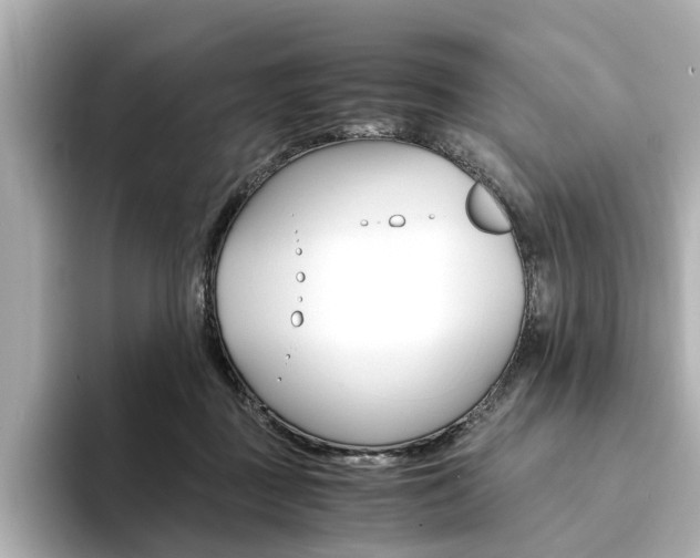 X0000094370363200711020758