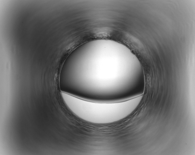 X0000094370364200711020758