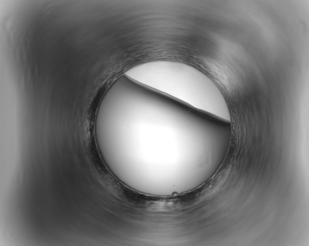 X0000094370366200711020758