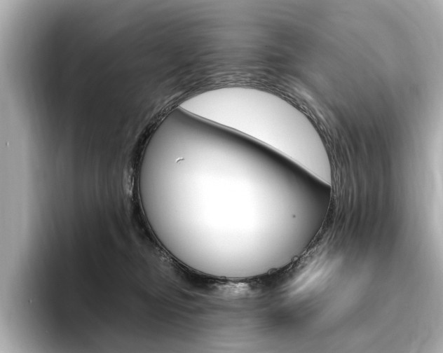 X0000094370374200711020758