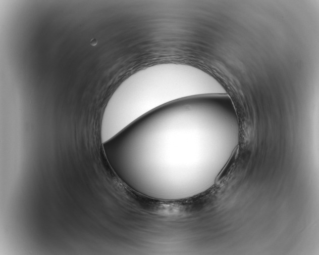 X0000094370376200711020758