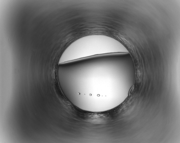 X0000094370379200711020758