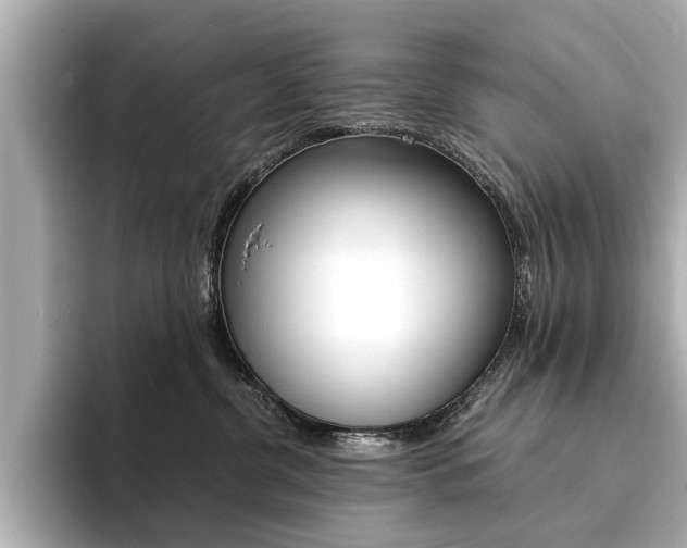 X0000094370380200711020758