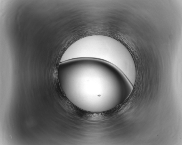 X0000094370384200711020758