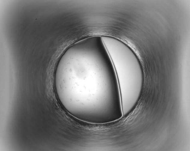 X0000094370385200711020758