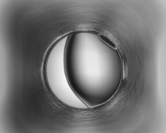 X0000094370387200711020757