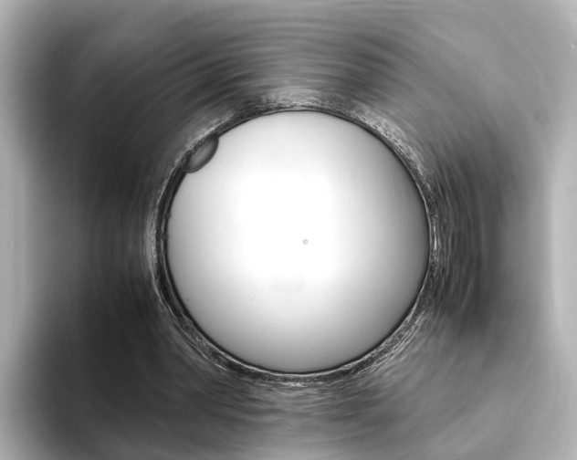 X0000094370390200711020757
