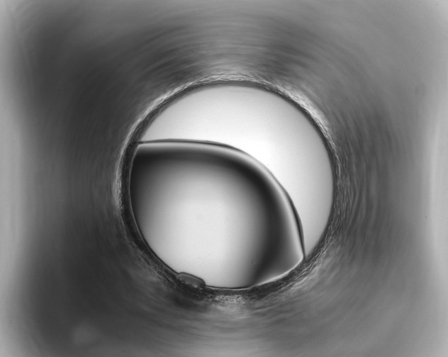 X0000094370391200711020757