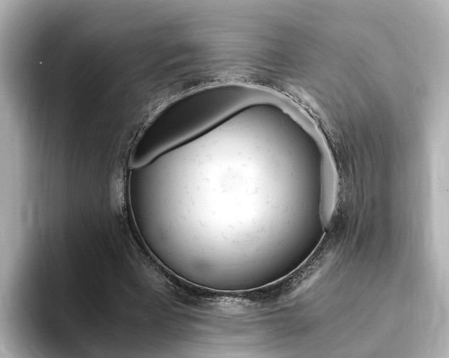 X0000094370393200711020757