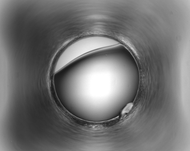 X0000094370395200711020757