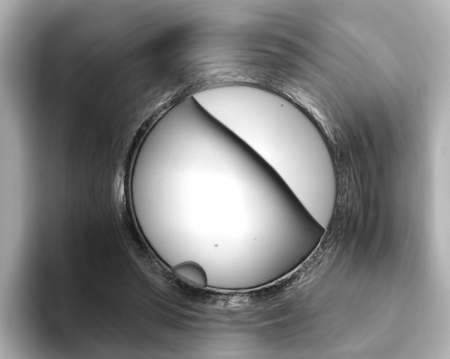 X0000094370398200711020757