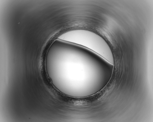X0000094370400200711020757
