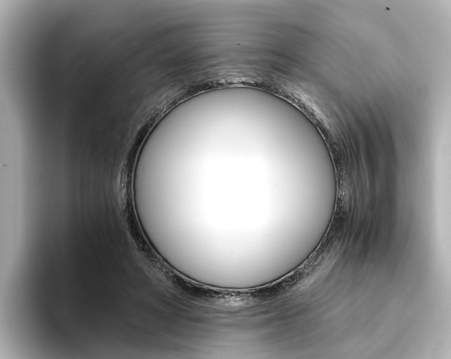 X0000094370402200711020757