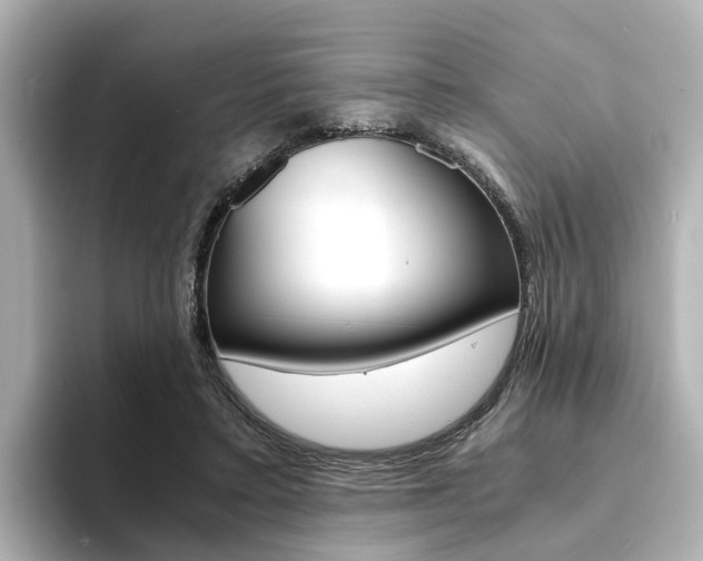 X0000094370403200711020757