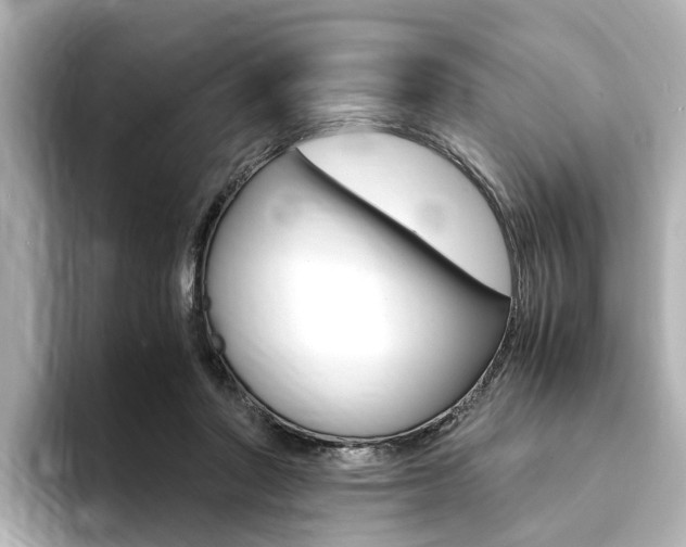X0000094370406200711020757