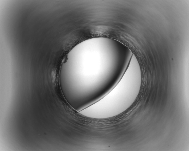 X0000094370420200711020757