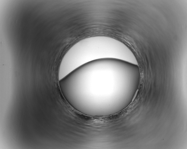 X0000094370423200711020757