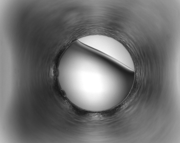 X0000094370424200711020757