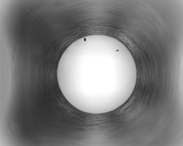 X0000094370429200711020757