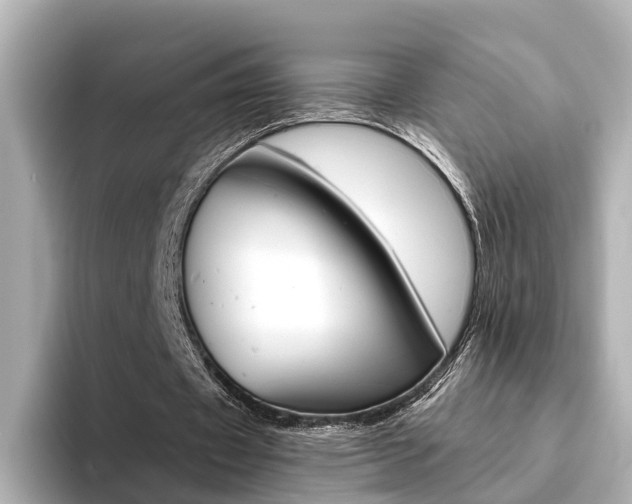 X0000094370433200711020756