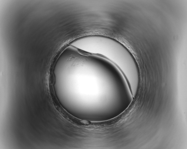 X0000094370434200711020756