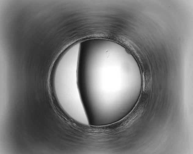 X0000094370435200711020756