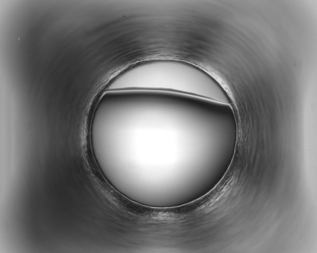 X0000094370437200711020756