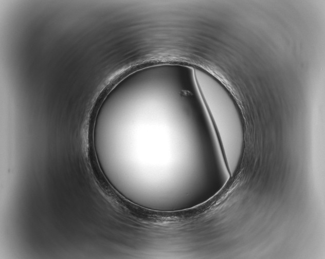 X0000094370438200711020756