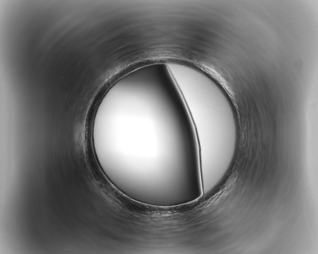 X0000094370439200711020756