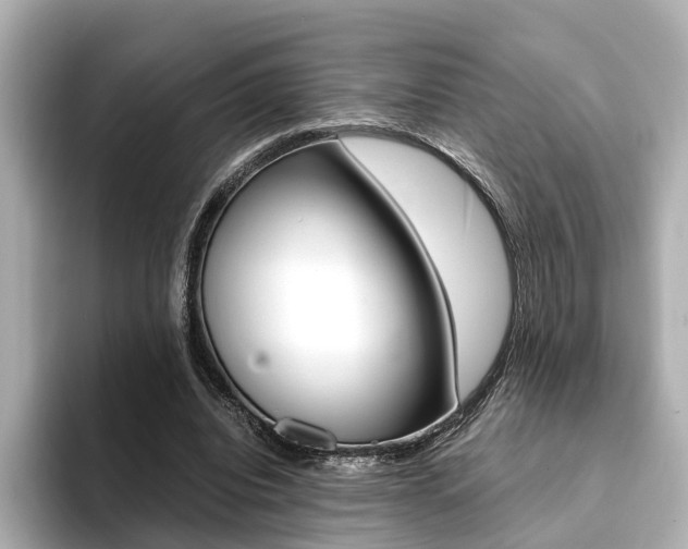 X0000094370440200711020756