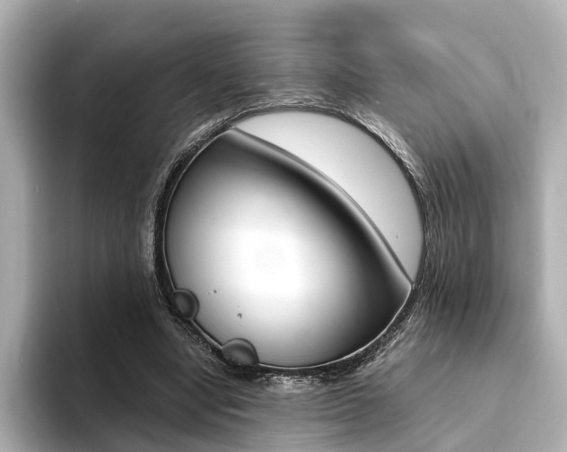 X0000094370442200711020756