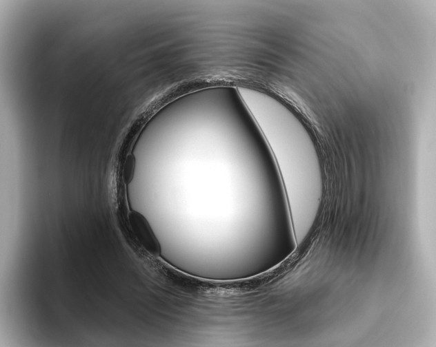 X0000094370444200711020756