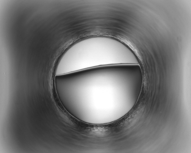 X0000094370445200711020756
